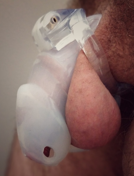 Fag Christian Hostettler exposed 61.jpg