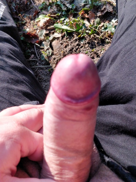 Christian Hostettler_IMG_20190330_071835-01.jpg